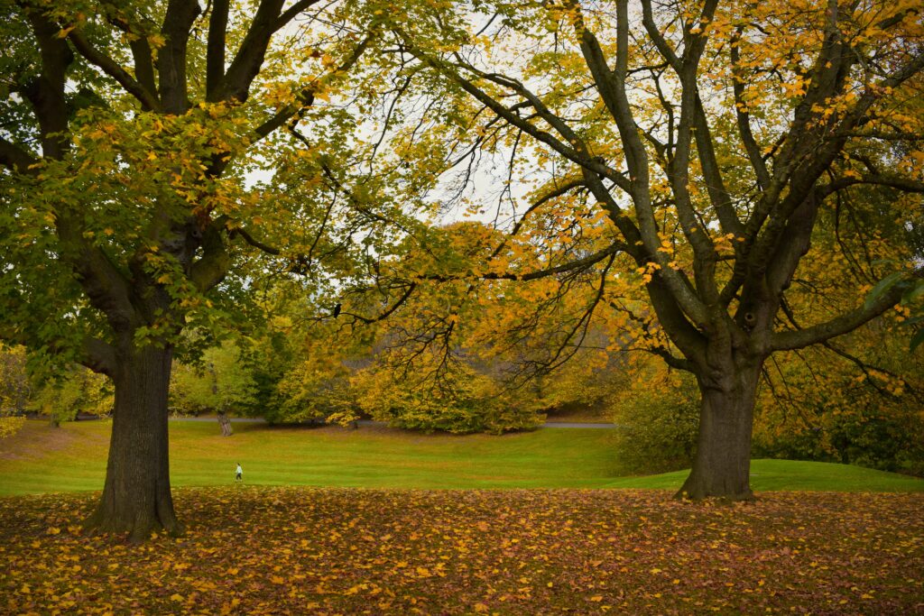 Richmond upon Thames